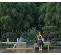 GLCWARM Garden Scenery Wallpaper - Pine Path Wall Mural