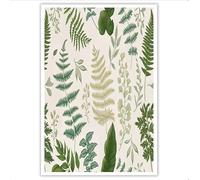 GLCWARM Hand-Drawn Botanical Illustrations Wall Art Canvas, Ferns Wall Prints, Pictures Canvas for corridor Dining room Living Room Apartment Bedroom Decor 60x80 cm No Frame