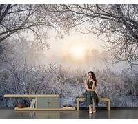 GLCWARM Winter Light and Shadow Mural Wallpaper 350X256Cm