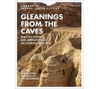 Gleanings from the Caves: Dead Sea Scrolls and Artefacts from the Schøyen Collection (The Library of Second Temple Studies)