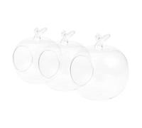 GLEAVI 3pcs Clear Glass Hydroponic Bottles Apple Shaped Tabletop Planters for Micro Landscape DIY Transparent Root Display Vases for Home Office Decor