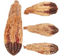 GLEAVI 4pcs Natural Material Parrot Foraging Small Bird Chewing for Parakeet Cockatiel Healthy Walnut Shells, Bird Shredding Set for Cage Enrichment and Mental Stimulation