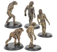 GLEAVI 5pcs Human Evolution Model Educational Human Figures Set for Teaching Aids Children Cognition Plaything Plastic Figure Models Scene Adornments