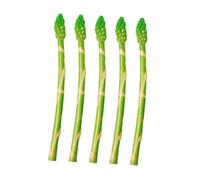 GLEAVI 5Pcs Lifelike Fake Asparagus Vegetable Models Realistic Craftsmanship Home Restaurant Rustic Decoration Photography Props