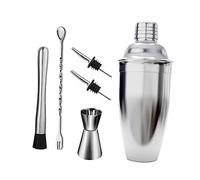 GLEAVI 6pcs Stainless Steel Martini Shaker for Home Bar Rust Resistant Cocktail Mixer with Strainer Polished Mirror Finish for Smooth Stirring and Chilled Drinks