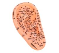 GLEAVI Chinese Ear Seeds Ear Acupuncture Model Made of Sturdy PVC with Ergonomic Design, for Self Massage and Improving Sleep Quality, for Learning and Nursing in Acupuncture Laboratory