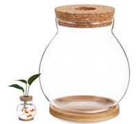 GLEAVI Glass Fish Tank with Wooden Lid and Bamboo Mat, Medium Mini Aquarium 13x14cm Betta Fish Bowl for Coffee Table Plant Terrarium Decor