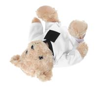 GLEAVI Taekwondo Bear Plush Soft and Cuddly Stuffed Animal for Taekwondo Enthusiasts for Birthday Holiday Special Occasion Keepsake for Fans