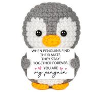 Gleevara Gift for Her Him, Anniversary Romantic Gift for Her - Handmade Cute Crochet Penguin, Birthday Gifts for Girlfriend Wife, Valentines Presents for Her