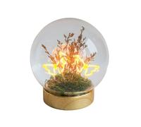 Gleneagles Butterfly Lamp Trio - LED Night Light in Glass Dome, USB | Decorative Table Light, Soft Warm Glow, Bedroom Desk and Living Room Decor, Three Butterflies