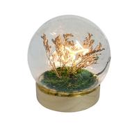 Gleneagles Butterfly LED Glass Lamp - Decorative Night Light in Glass Dome, USB Powered Table Lamp with Single, Double or Trio Butterflies Soft Warm Glow for Bedroom, Desk, or Living Room (Single)