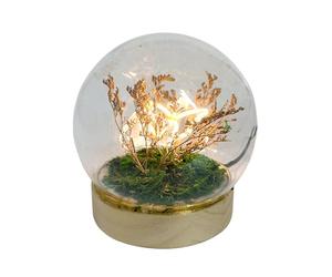 Gleneagles Butterfly LED Glass Lamp - Decorative Night Light in Glass Dome, USB Powered Table Lamp with Single, Double or Trio Butterflies Soft Warm Glow for Bedroom, Desk, or Living Room (Single)
