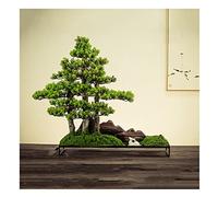 GLETSF Artificial Plant Artificial Potty Simulation Bonsai Bonsai Boicing Pine Red Maple Micro-Landscape Decoration Decoration Decoration Soft Artificial Plant-B