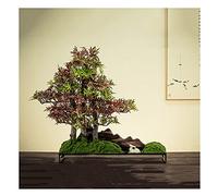 GLETSF Artificial Plant Artificial Potty Simulation Bonsai Bonsai Boicing Pine Red Maple Micro-Landscape Decoration Decoration Decoration Soft Artificial Plant-C