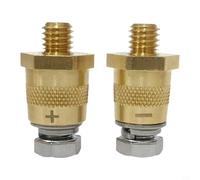 Glewi Brass Terminal Adapter Kit M8 Positive Negative Connectors with Screws Washers for Car Truck Boat RV 24V 70A Gold Pair(3/8MM)