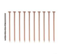 Glewi Copper Tree Killing Nails 3.15 Inch Stump Removal Spikes with Drill Bit for Root Killer Hardware Garden Tool Kit 10 Pack