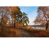 GLHUIOZ 1000 Extra Large Piece Puzzle For Adults Gift,Forest,Autumn Mood,Trace,Fallen Leafs,75x50cm