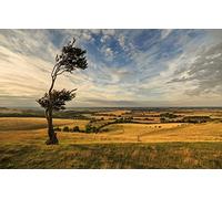 GLHUIOZ 1000 Piece Jigsaw Puzzle for Adults Teenagers Gifts- Relax Games-Brain Teaser,Windy Day,Dramatic Sky,75x50cm