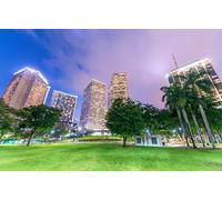 GLHUIOZ 1000 Piece Jigsaw Puzzles for Adults | Jigsaws 1000 Pieces for Adults | Jigsaw Puzzle Presents for Women | Adult Jigsaw USA Florida Miami 75x50cm