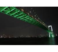 GLHUIOZ 1000 Piece Jigsaw Puzzles for Adults & Kids Age 10 Years Up Bridges Japan Tokyo Rainbow Bridge 75x50cm