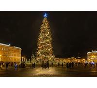 GLHUIOZ 1000 Piece Jigsaw Puzzles For Adults | Recycled Puzzleboard | Jigsaw Puzzles For Adult Christmas Russia Petersburg Town 75x50cm