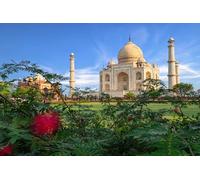 GLHUIOZ 1000pc Cute Premium Jigsaw Puzzle - Every Piece is Unique - Challenging Adult Family Fun Game Crocuses Agra Taj Mahal India 75x50cm