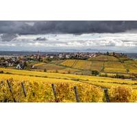 GLHUIOZ 1500 Extra Large Piece Puzzle For Adults - Easy Adult Jigsaw Puzzles, Jigsaw Puzzle Gift, France Vineyard 87x57cm