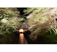 GLHUIOZ 1500 Extra Large Piece Puzzle For Adults Gift,Channel,Blooming,87x57cm