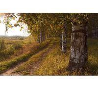 GLHUIOZ 1500 Extra Large Piece Puzzle For Adults Gift,Field,Birches,87x57cm