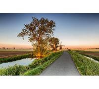 GLHUIOZ 1500 Extra Large Piece Puzzle For Adults Gift,Mills,87x57cm