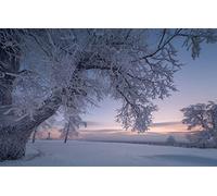 GLHUIOZ 1500 Extra Large Piece Puzzle For Adults Gift,Russia,87x57cm