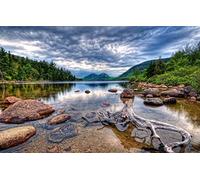 GLHUIOZ 1500 Extra Large Piece Puzzle For Adults Gift,Stones,Root,Driftwood,87x57cm