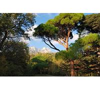 GLHUIOZ 1500 Extra Large Piece Puzzle For Adults Gift,Ukraine,Miskhor,87x57cm