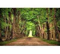 GLHUIOZ 1500 Piece Jigsaw Puzzles for Adults,Beautiful,87x57cm