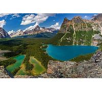 GLHUIOZ 1500 Piece Jigsaw Puzzles for Adults Landscape,Canada,Lake O'Hara,Yoho National Park,87x57cm