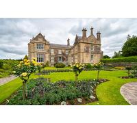 GLHUIOZ 1500 Piece Jigsaw Puzzles for Adults | Puzzle | Jigsaws 1500 Pieces for Adults | Ireland Parks Killarney National Park 87x57cm