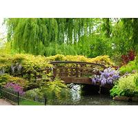 GLHUIOZ 1500 piece jigsaw puzzles for adults River,Beautiful,Weeping Willow,87x57cm