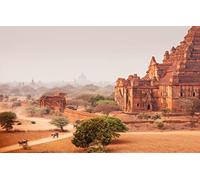 GLHUIOZ 1500 Pieces Jigsaw Puzzles for Adults,Family Puzzle Game Stress Reliever Difficult Challenge for Adults Kids,Myanmar,Temples,Bagan,Horse Basket,87x57cm