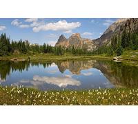 GLHUIOZ 500 Extra Large Piece Puzzle For Adults Gift,Canada,British Columbia,52x38cm