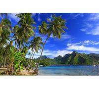 GLHUIOZ 500 Extra Large Piece Puzzle For Adults Gift,Coast,Pacific Ocean,French Polynesia,52x38cm
