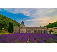 GLHUIOZ 500 Piece Jigsaw Puzzle for Adults and for Kids Age 12 and Up France Temples Lavender 52x38cm