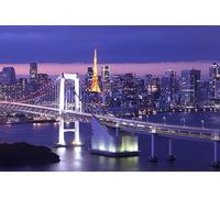 GLHUIOZ 500 Piece Jigsaw Puzzle for Adults - Family Game Stress Reliever Difficult Challenge Puzzle for Adults Kids Bridges Japan Tokyo 52x38cm