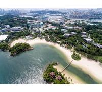 GLHUIOZ 500 Piece Jigsaw Puzzle for Adults-Puzzles 500 Pieces for Teenagers Gifts - Relax Puzzles Games-Brain Teaser Puzzle Singapore Coast Palawan Beach 52x38cm
