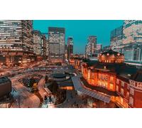 GLHUIOZ 500 Piece Jigsaw Puzzle for Adults-Puzzles 500 Pieces for Teenagers Gifts - Relax Puzzles Games-Brain Teaser Puzzle Japan Tokyo 52x38cm