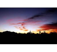 GLHUIOZ 500 Piece Jigsaw Puzzles for Adults Arizona Cacti 52x38cm