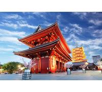 GLHUIOZ 500 Pieces Jigsaw Puzzles for Adults, Family Puzzle Game Stress Reliever Difficult Challenge Puzzle for Adults Kids Japan Tokyo Temples Flowering 52x38cm