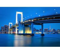 GLHUIOZ 500 Pieces Jigsaw Puzzles for Adults Puzzles 500 Piece Jigsaws for Adults Puzzle - Japan Tokyo Rivers Bridges 52x38cm