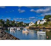 GLHUIOZ 500 Pieces Jigsaw Puzzles for Adults Puzzles 500 Piece Jigsaws for Adults Puzzle - Motorboat Brittany 52x38cm