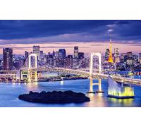 GLHUIOZ 500pc Premium Jigsaw Puzzle - Every Piece is Unique - Challenging Adult Family Fun Game Tokyo Japan 52x38cm