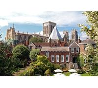 GLHUIOZ Difficult Jigsaw Puzzles For Adults - 1000 Piece Jigsaw Puzzle - Challenging Jigsaw Puzzles, Great Gift For All Ages England YorkTrees 75x50cm